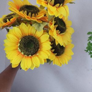 7-sunflower-big.jpg Big 7 Sunflower