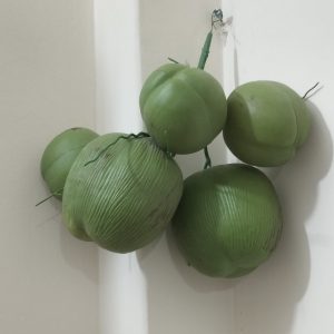 IMG_20250724_003141-scaled-1.jpg Artificial Coconuts