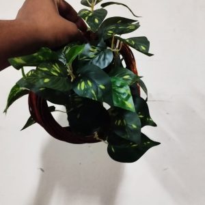 WhatsApp-Image-2024-06-10-at-8.45.36-PM1.jpeg রিং ফুলের টব (chaf-004)