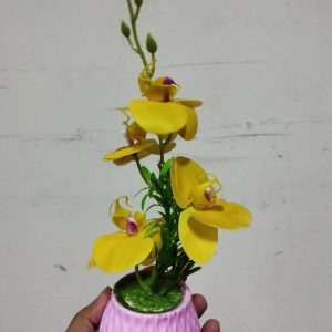 WhatsApp-Image-2024-06-10-at-8.45.41-PM.jpeg ফুলের টব (chaf-003)