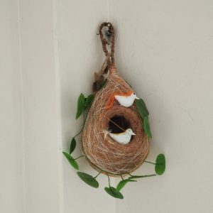 babuibasha.jpeg Babui Nest With Bird