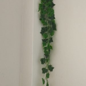 bonolota-110.jpeg Bonolota