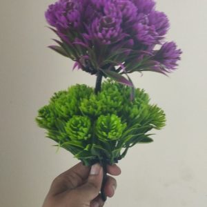 bonshai-2.jpeg bonshai 1