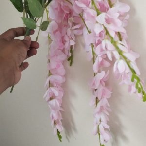 cherry-2.jpeg Cherry Flower white