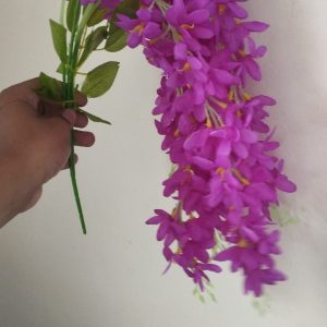 cherry.jpeg Cherry Flower Beguni