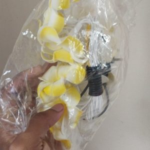 kathgolaplight.jpg kath golap light