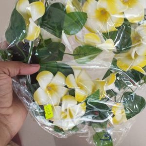 patagolap.jpg Lota + Woodrose Light