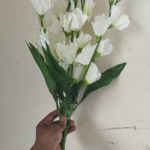 whiteflower.jpeg Rojonigondha white