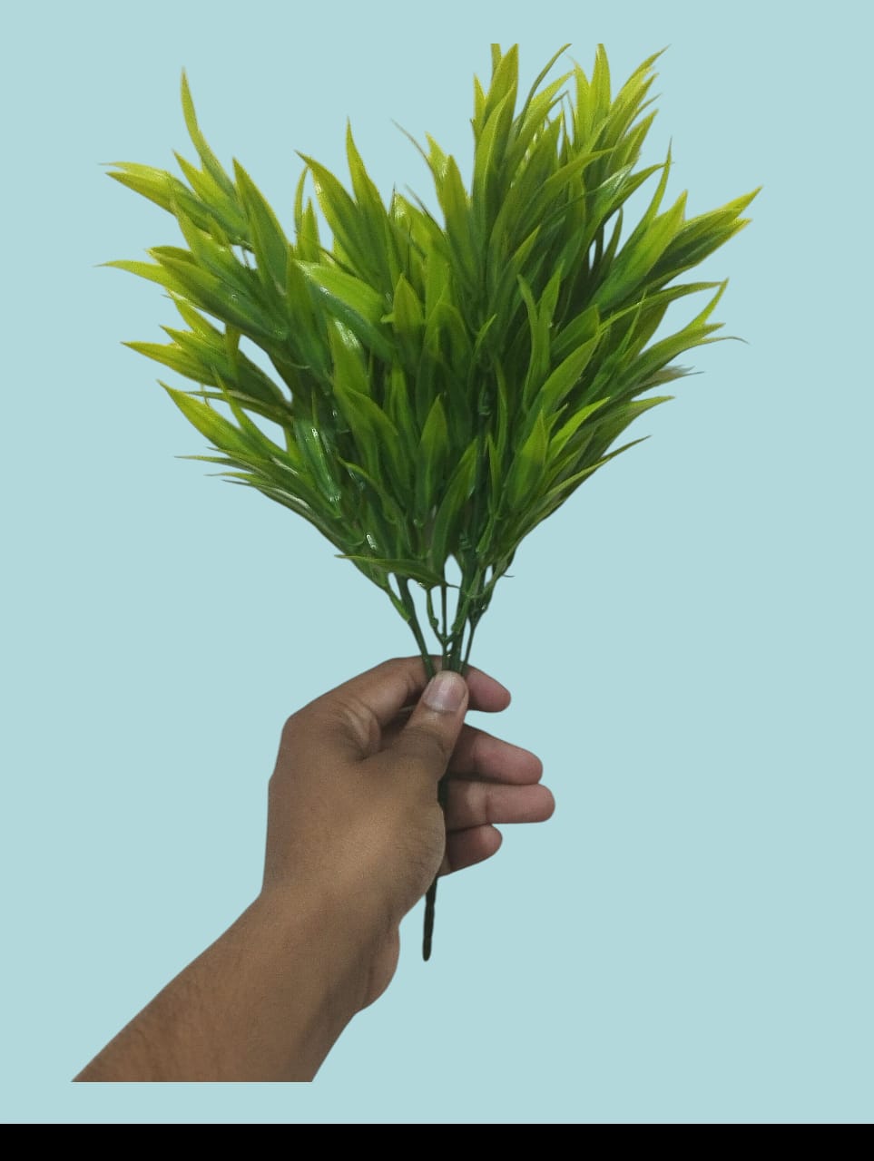 Flower Without Vase - Image 2