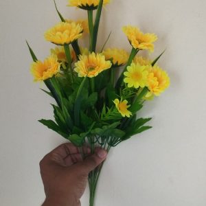 yellowgada.jpg Yellow Gada Flower